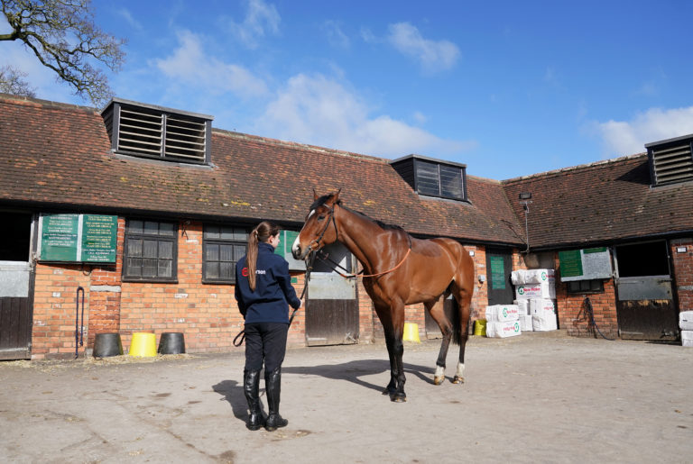 Stay Away Fay with a stable hand during a visit to Manor Farm Stables