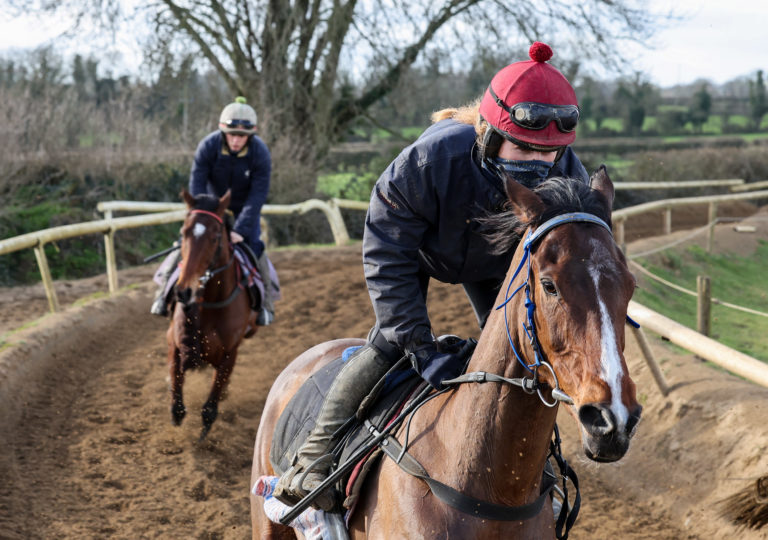 Hewick on the gallops at Shark Hanlon's yard