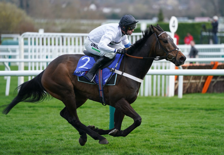 Constitution Hill winning the Supreme Novices' Hurdle at last season's Cheltenham Festival