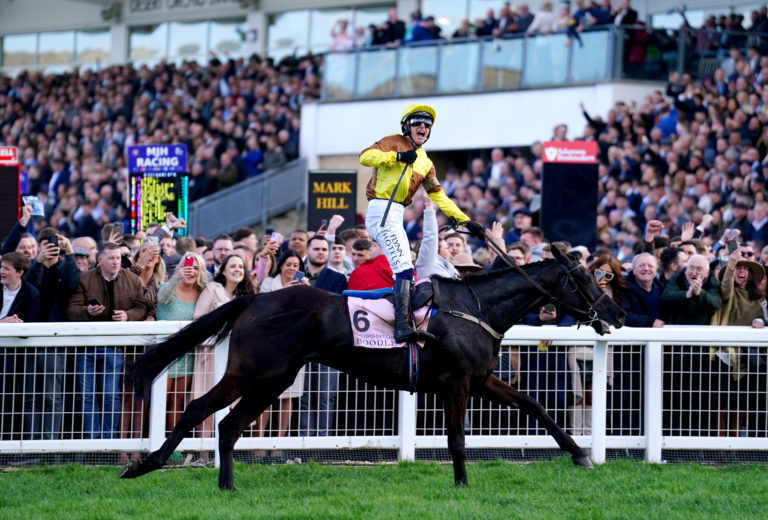 Galopin Des Champs was a brilliant winner of the Gold Cup