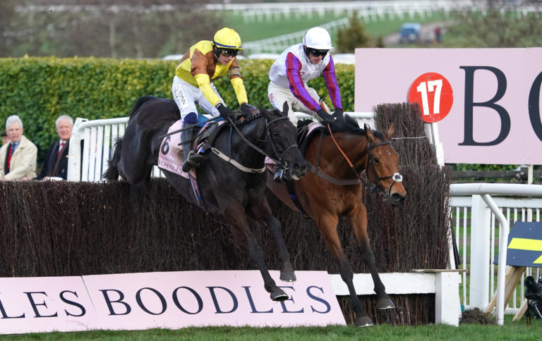 Galopin Des Champs and Bravemansgame landing at the last