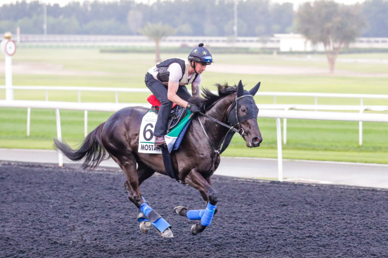 Mostahdaf on the Meydan training track