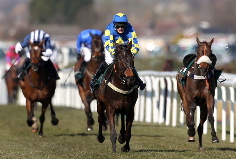 Roi Mage will carry the same colours as 2013 National winner Auroras Encore, who was partnered by ridden by Ryan Mania