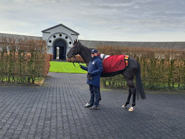 Aidan O'Brien and Auguste Rodin on Monday at Ballydoyle