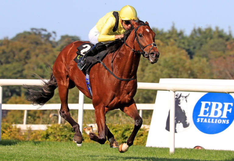 Jadoomi could make his seasonal return at Newbury