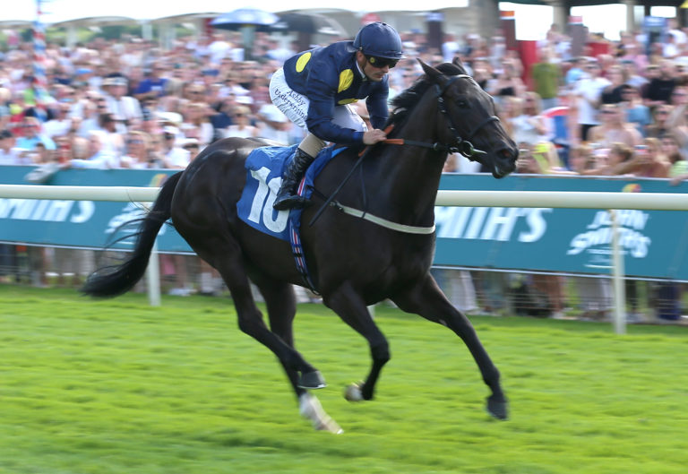 Royal Aclaim at York