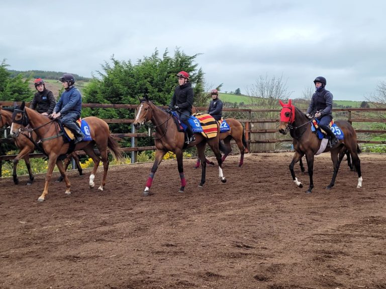 Above The Curve (centre) at Joseph O'Brien's yard