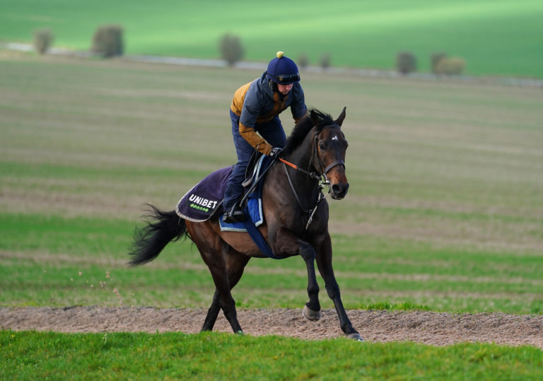 Constitution Hill is one of Thursday's headline acts