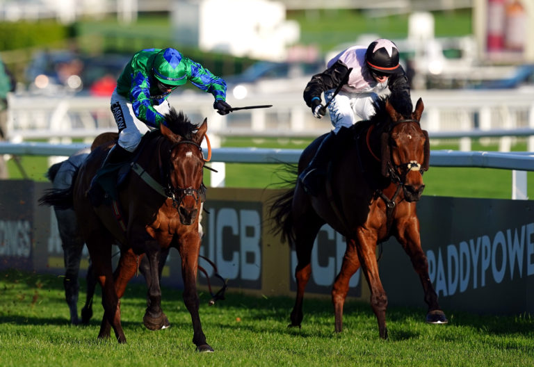 French Dynamite (right) finishing second in the Paddy Power Gold Cup at Cheltenham in November
