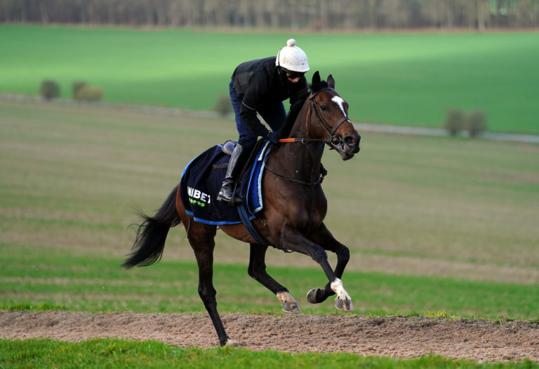 Jonbon will bid to go one better than in the Arkle