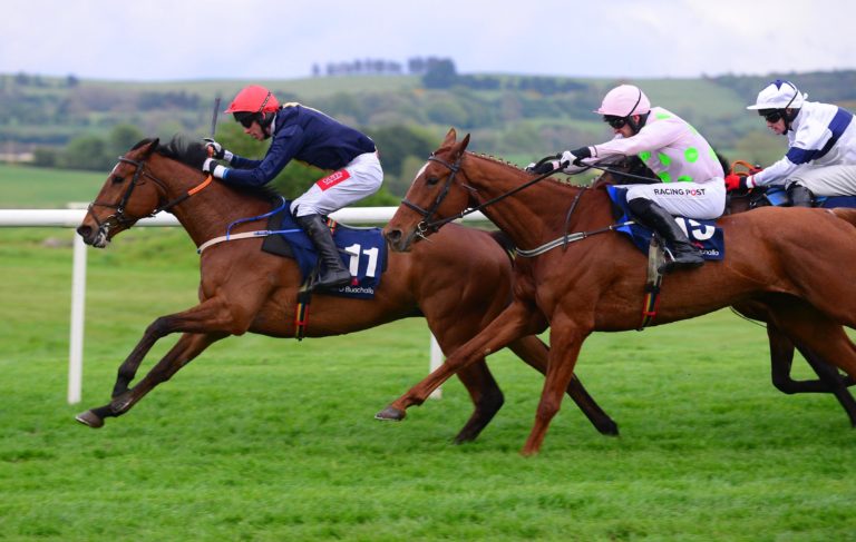 Longhouse Poet (left) ran well for a long way in last year's renewal