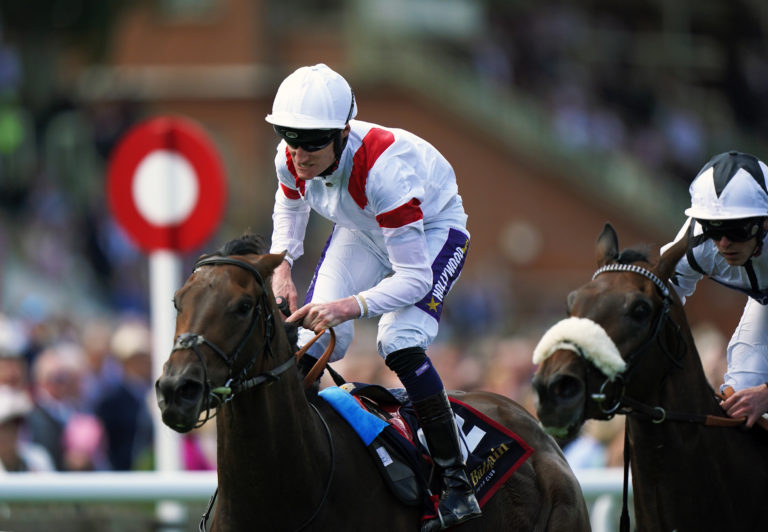 Deauville Legend will make his return at Newmarket this week
