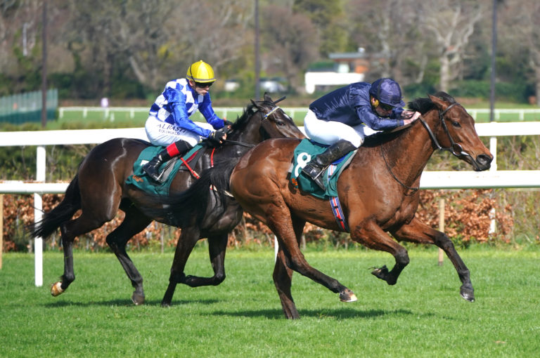 Matilda Picotte had to settle for second behind Aidan O'Brien's Never Ending Story in the Ballylinch Stud 'Priory Belle' 1000 Guineas Trial Stakes at Leopardstown