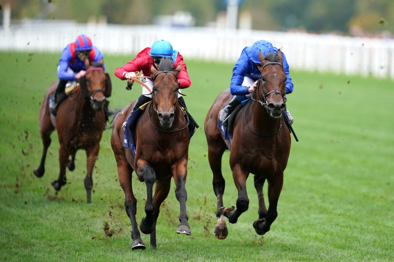 Bay Bridge (second left) winning the Champion Stakes at Ascot