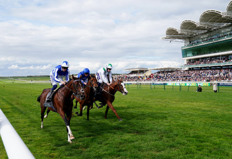 The Foxes (left) winning the Juddmonte Royal Lodge Stakes at Newmarket last September