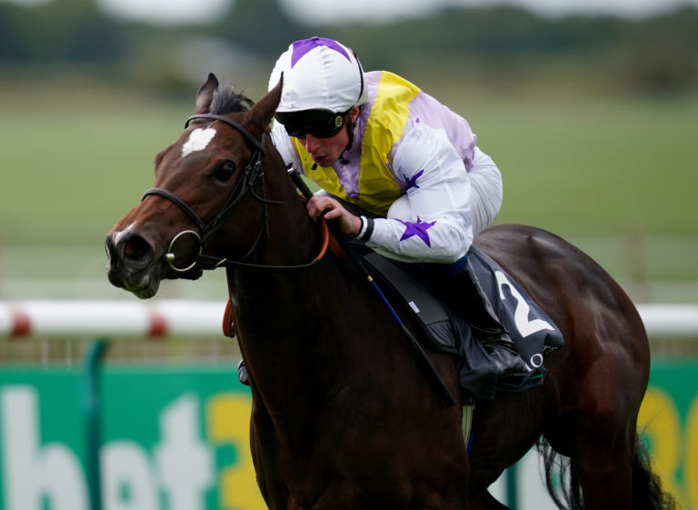Lezoo is the mount of Frankie Dettori