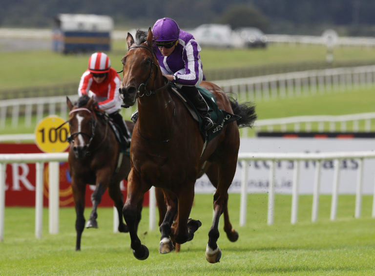 Little Big Bear tries a mile for the first time in the colts' Classic
