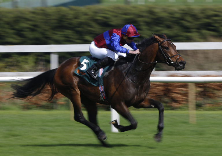 Hans Andersen impressed Ryan Moore on his comeback at Leopardstown