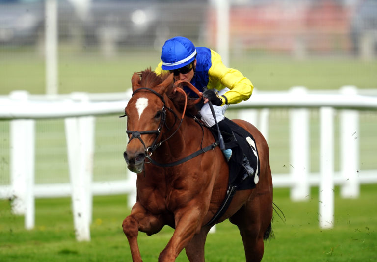 Thunder Ball ridden by Mohammed Tabti on their way to winning the Earl & The Pharaoh Novice Stakes at Newbury