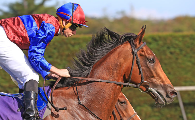Luxembourg winning the Irish Champion Stakes