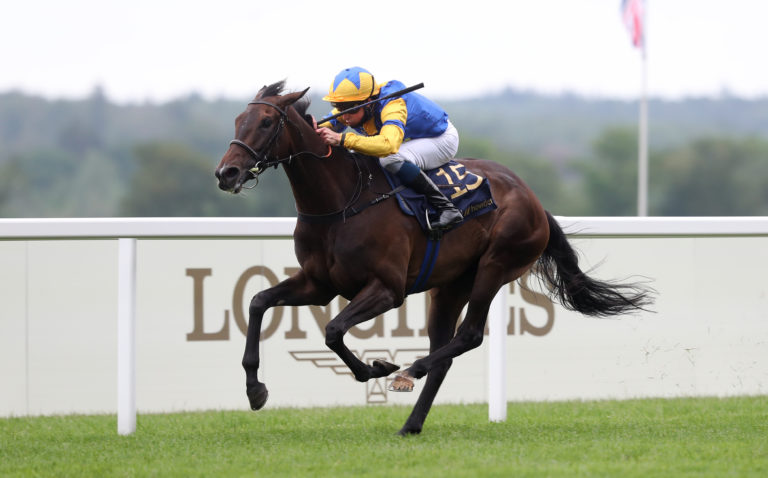 Royal Ascot winner Wonderful Tonight was a stable star for David Menuisier