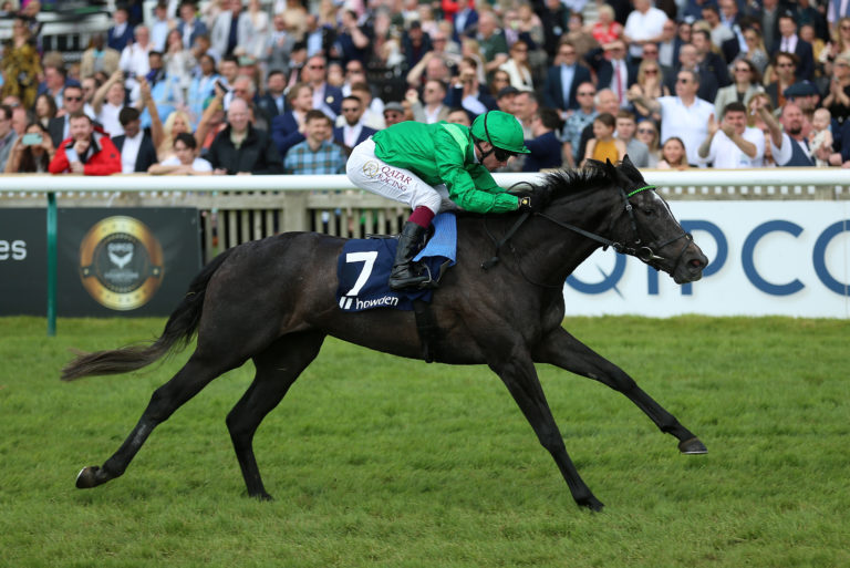 Running Lion is one of two runners for the Gosden team