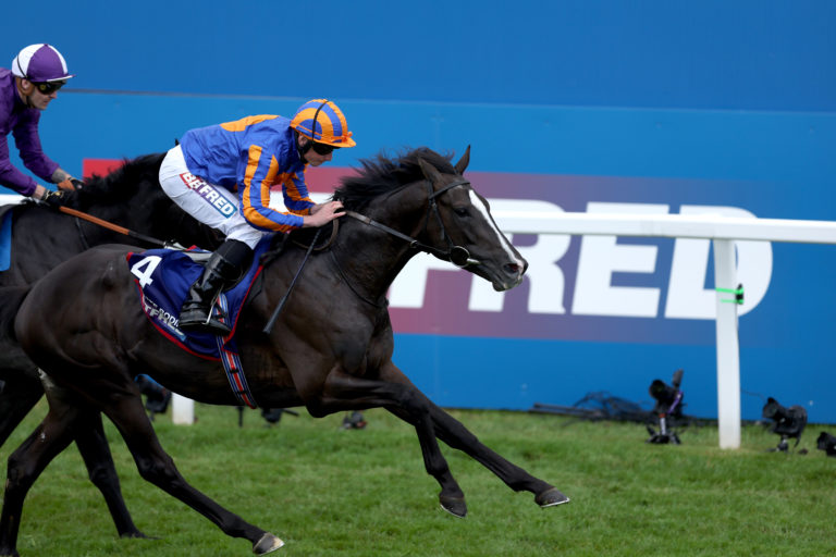 Auguste Rodin won the Derby