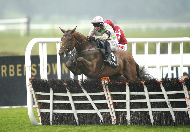 Vauban won three top-class hurdle races last year for owner Rich Ricci