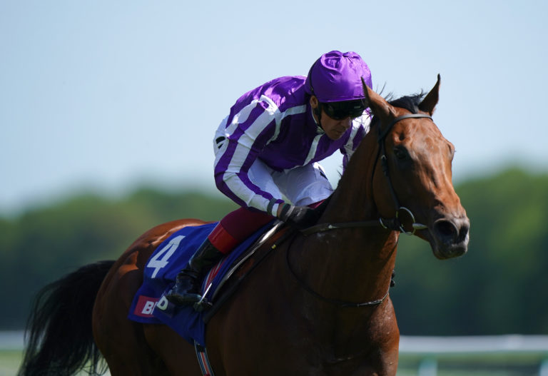 Little Big Bear could keep No Nay Never's legacy going at Royal Ascot this year