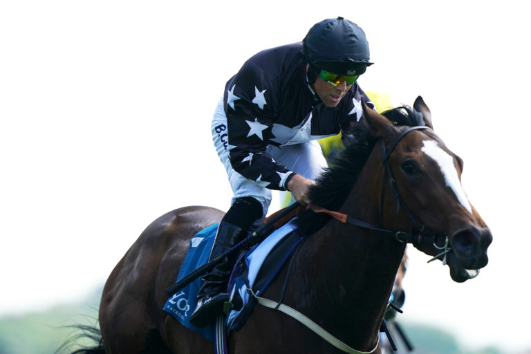 Radio Goo Goo has been a revelation this season for David Evans