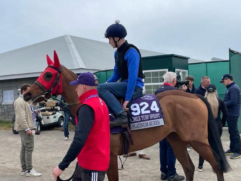 The Platinum Queen at the Breeders' Cup
