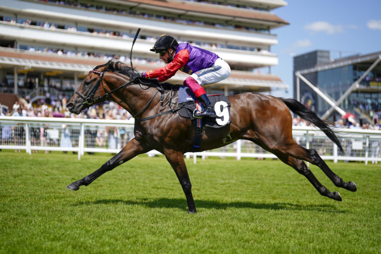 Reach For The Moon will head to the Royal Hunt Cup