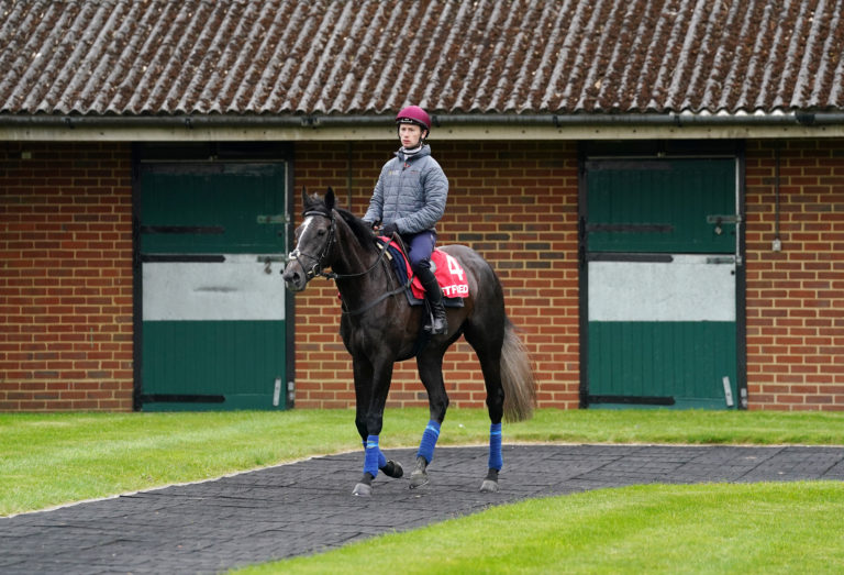 Running Lion and jockey Oisin Murphy heads back to the stables during a gallops morning at Epsom
