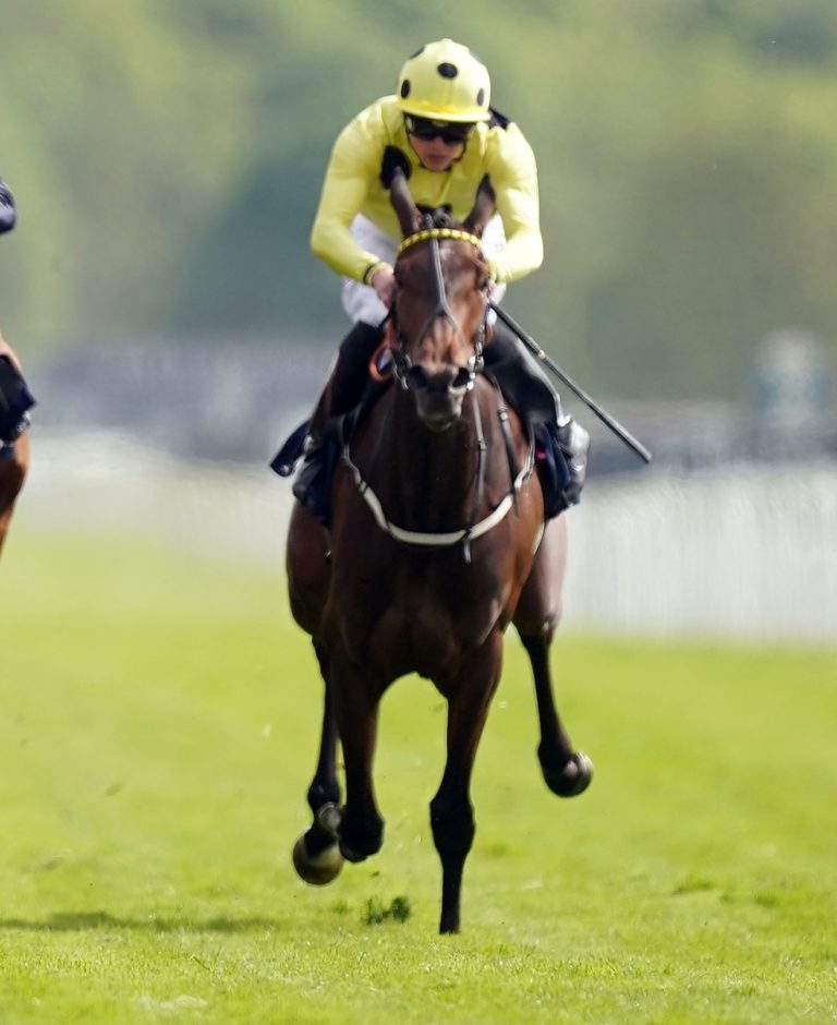 Novakai is on course to run in France