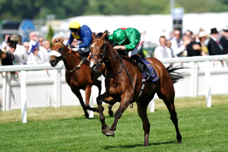 Candleford carried the Barnane silks to Royal Ascot glory in 2022