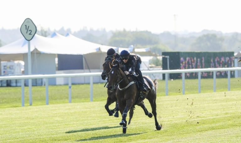 Coolangatta working at Ascot on Wednesday morning