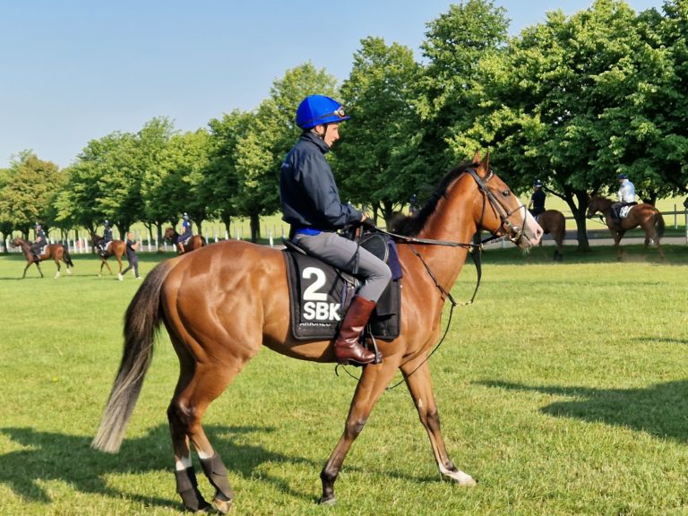 Asadna is a leading Coventry contender 