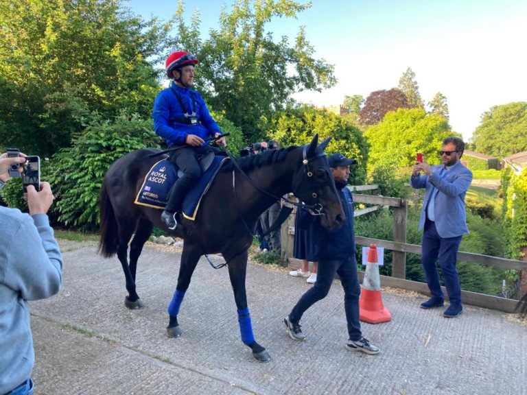 Artorius in Newmarket