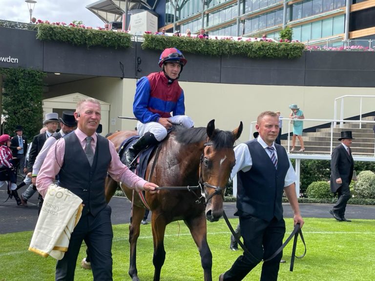 Age Of Kings and Wayne Lordan