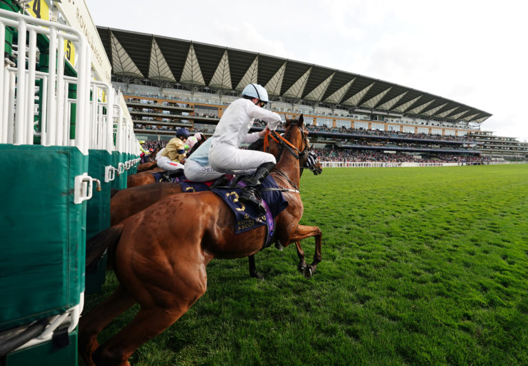 Cemhaan exiting the stalls in the Copper Horse Handicap during day one of Royal Ascot