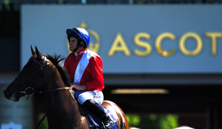 Twilight Calls got no luck in running under Ryan Moore