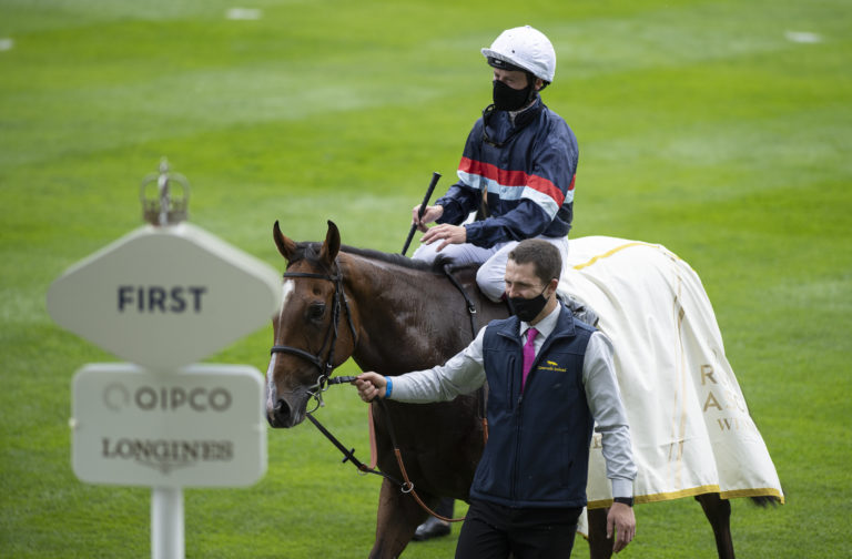 Sir Busker after winning the Silver Royal Hunt Cup in 2020