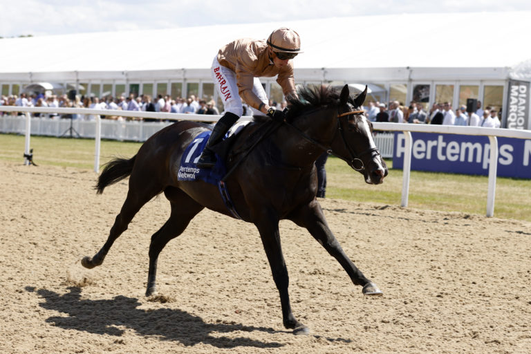 Sense Of Duty winning at Newcastle last year