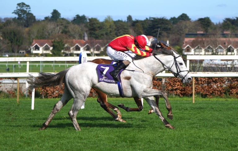 White Birch won the Ballysax Stakes earlier in the season