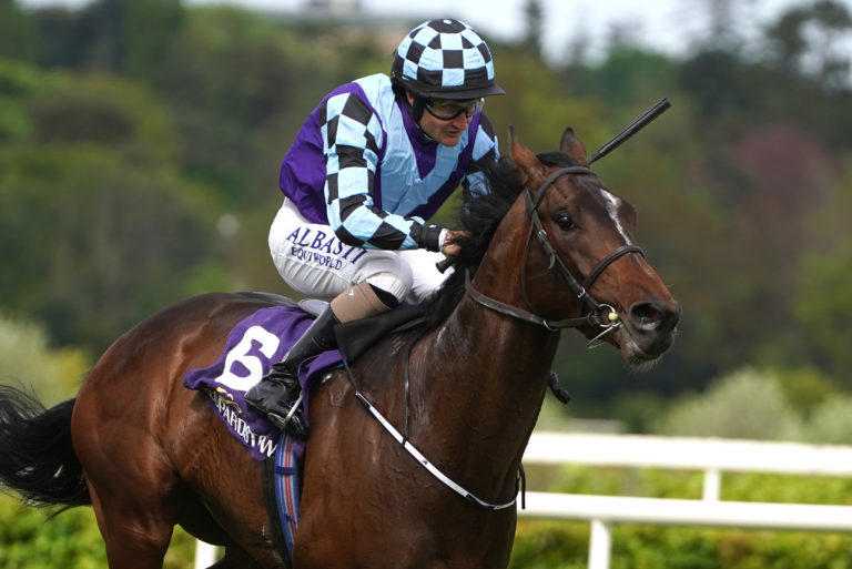Sprewell was unplaced in the Irish Derby