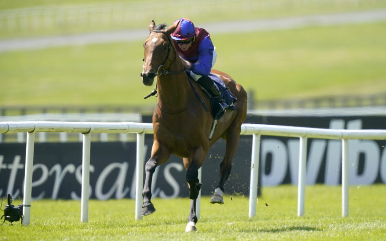 Luxembourg won the Tattersalls Gold Cup earlier in the year