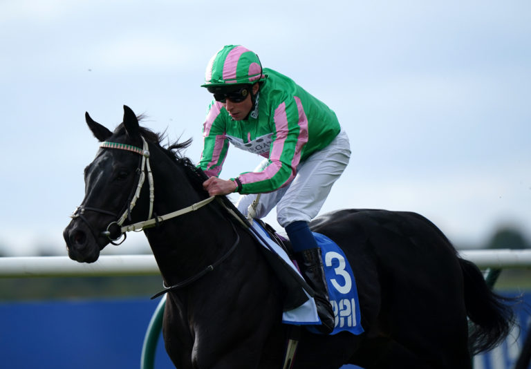 Pogo is in line for another run in the Lennox Stakes