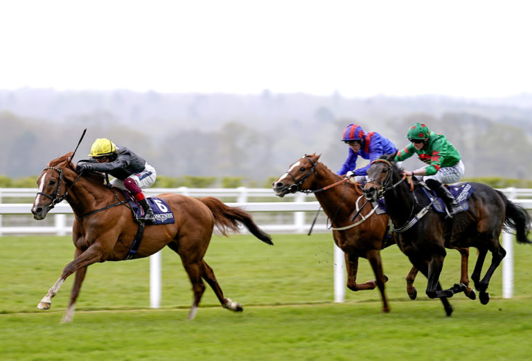 Ocean Wind (right) chases home Stradivarius in the Sagaro Stakes