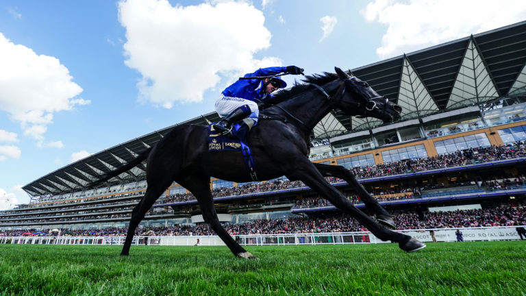 Mostahdaf was a stunning winner at Royal Ascot