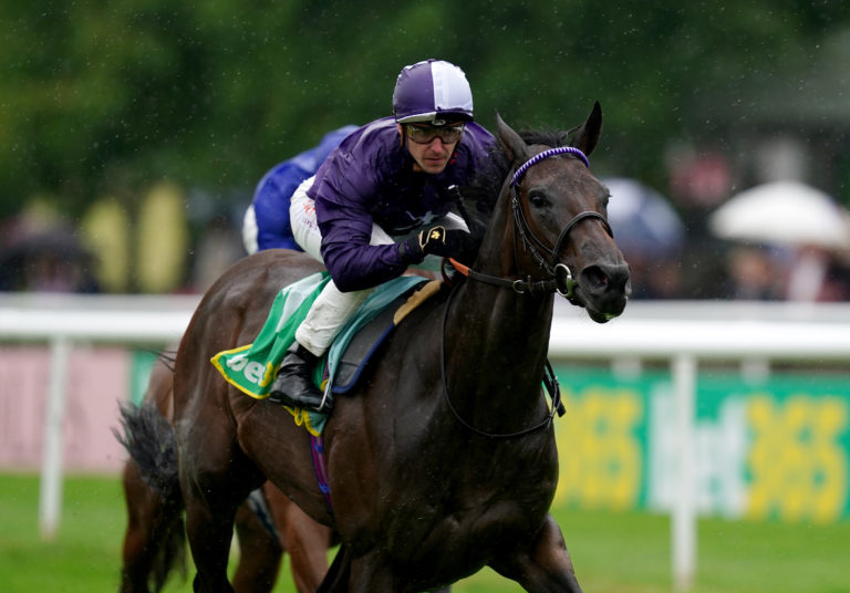 Persian Dreamer got back to winning ways